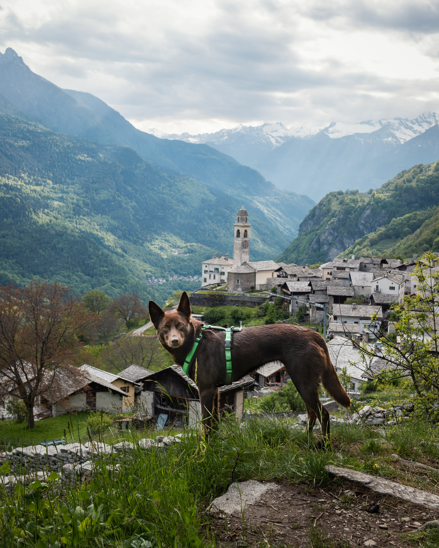 Soglio